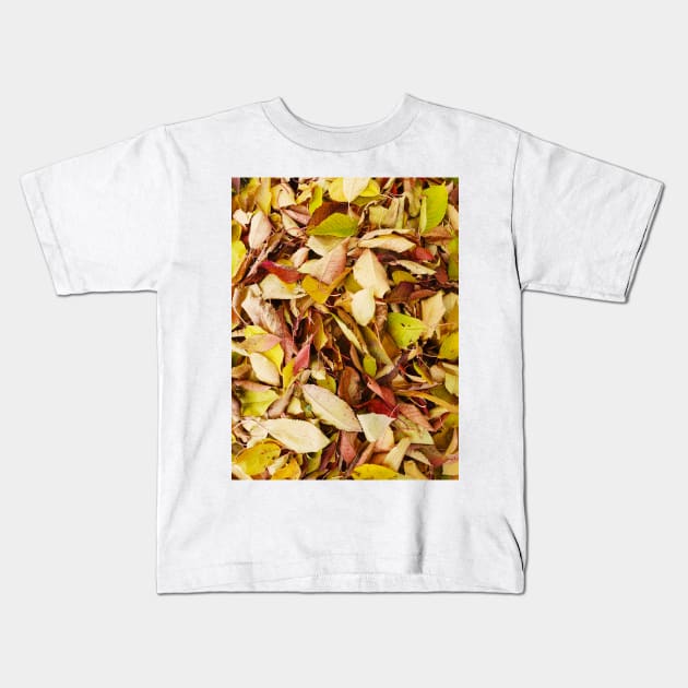 Autumn pattern Kids T-Shirt by Kate-P-